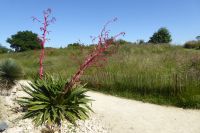 Tag 4 Jardin Suspendus, Le Havre