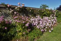 Tag 4 Jardin Suspendus, Le Havre