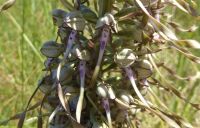 Tag 5 01.06.2022 Deauville