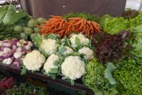 Tag 5 01.06.2022 Honfleur