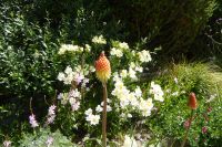 Tag 6 02.06.2022 Caen, Colline des Oiseaux