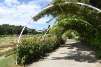 Tag 6 02.06.2022 Caen, Colline des Oiseaux