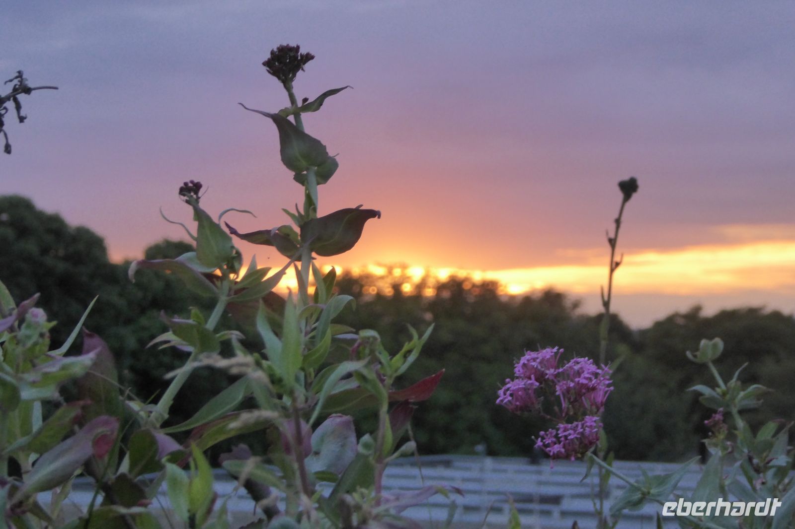 Tag 6 02.06.2022 Caen