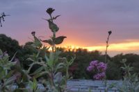 Tag 6 02.06.2022 Caen