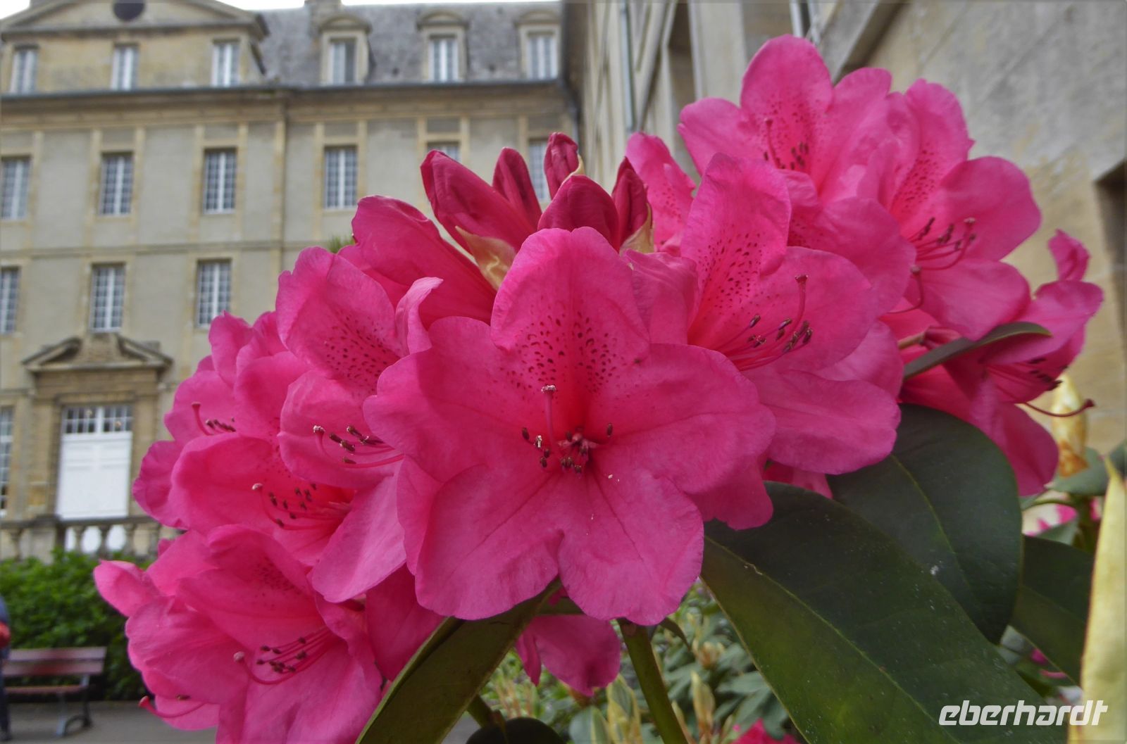 Tag 7 03.06.2022 Bayeux