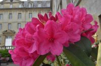 Tag 7 03.06.2022 Bayeux