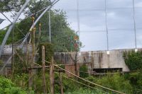 Tag 8 04.06.2022 Champrépus