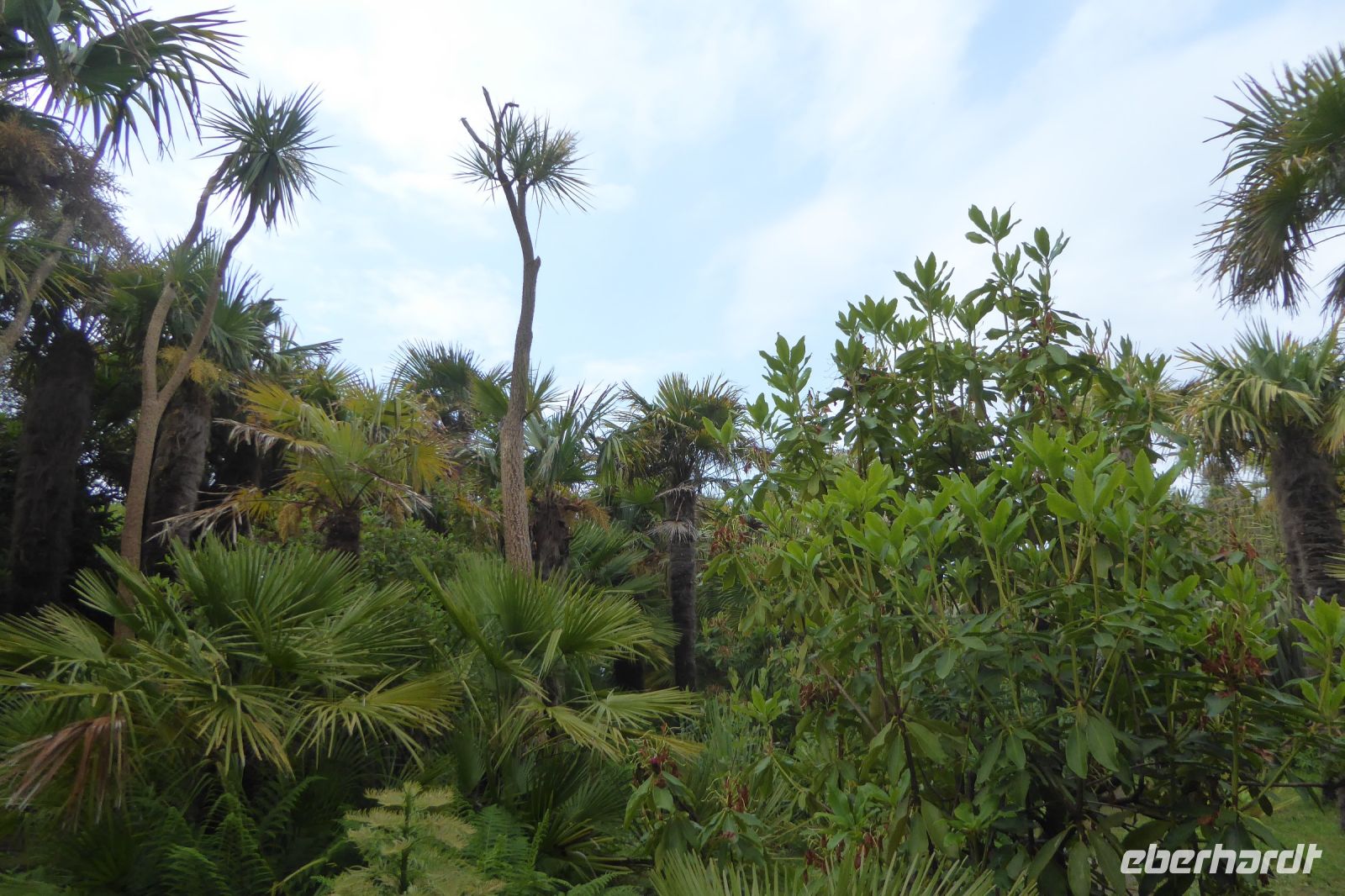 Tag 8 04.06.2022 Vauville