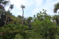 Tag 8 04.06.2022 Vauville