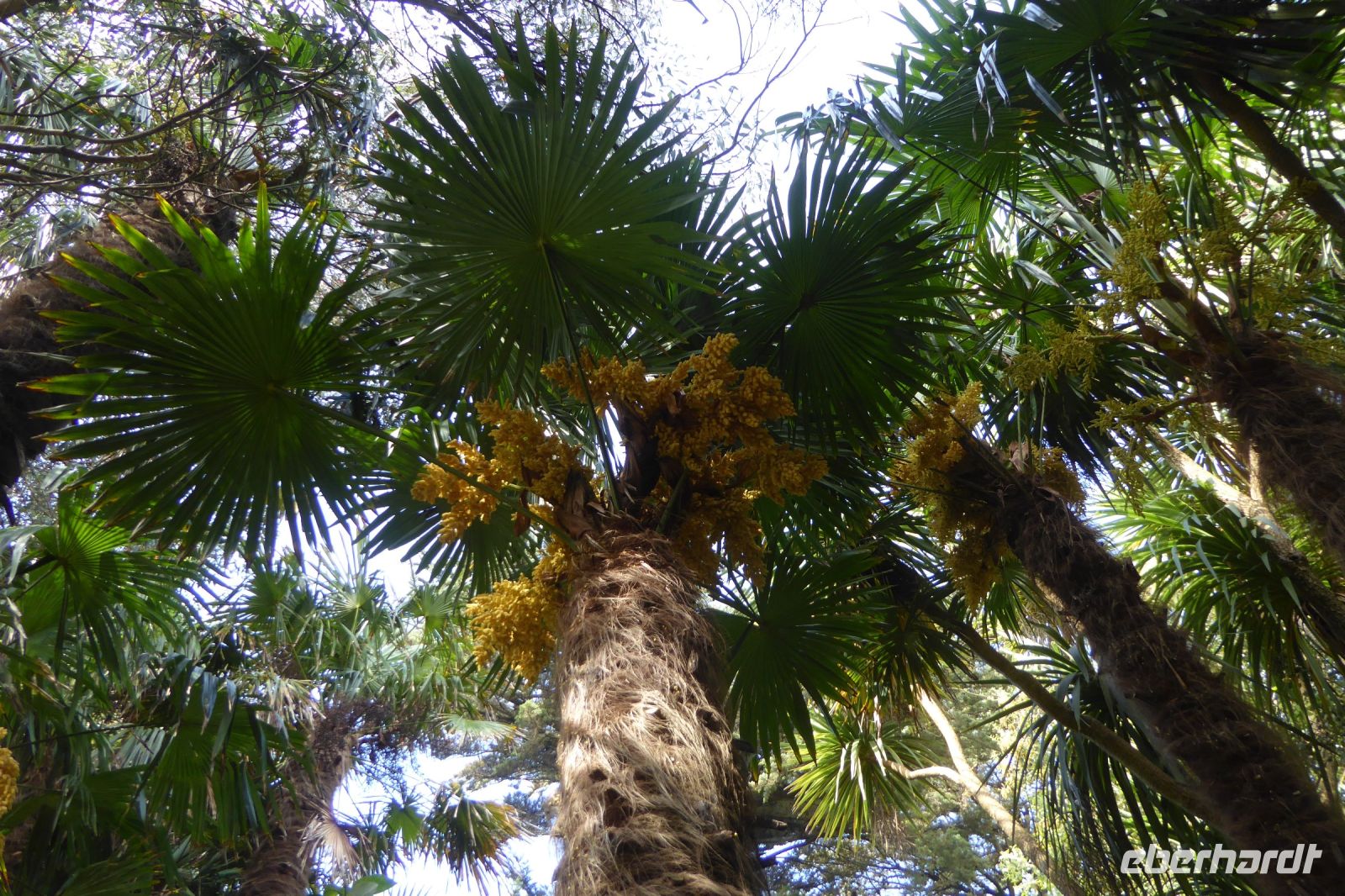 Tag 8 04.06.2022 Vauville