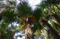 Tag 8 04.06.2022 Vauville