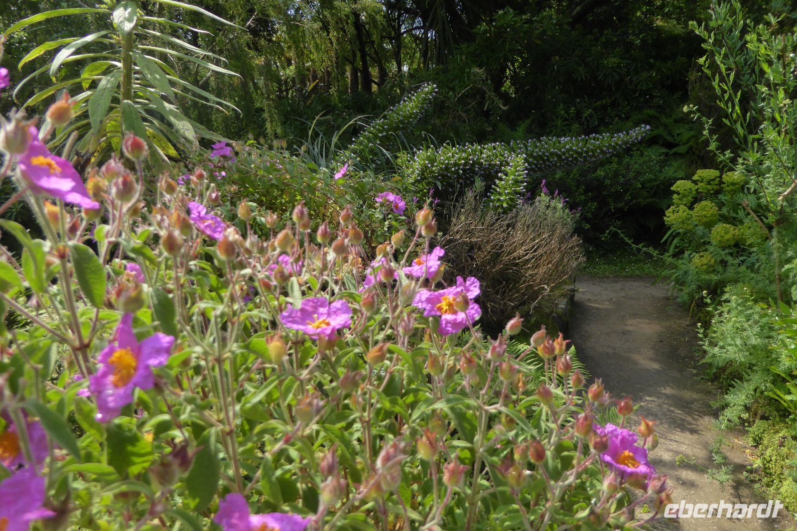 Tag 8 04.06.2022 Vauville