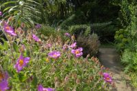 Tag 8 04.06.2022 Vauville