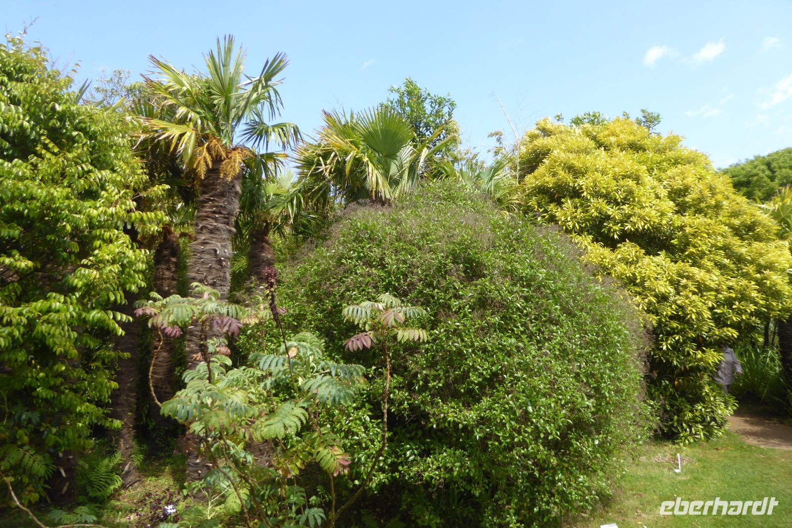 Tag 8 04.06.2022 Vauville