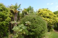 Tag 8 04.06.2022 Vauville