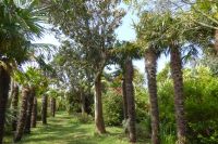 Tag 8 04.06.2022 Vauville 