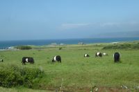 Tag 8 04.06.2022 Vauville 