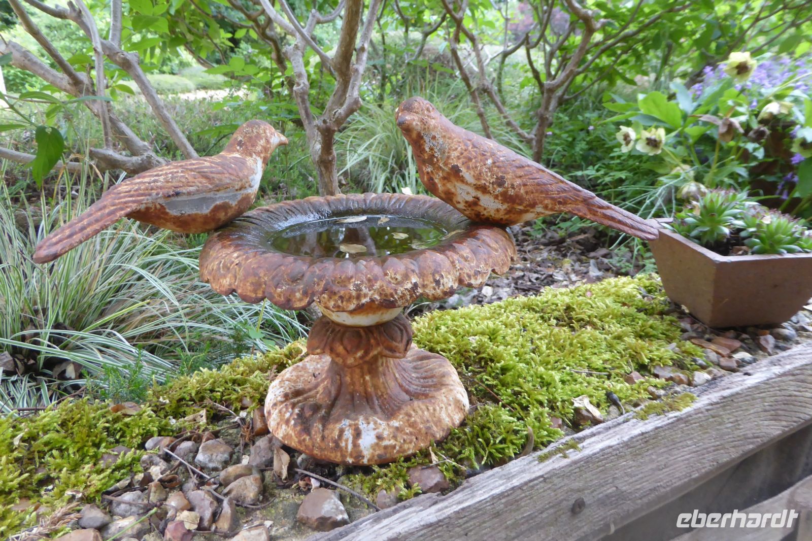 Tag 9 05.06.2022 Jardin Francois