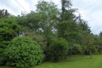 Tag 9 05.06.2022 Jardin Francois