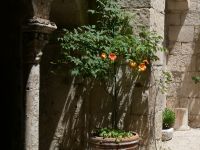 Idylle pur am Nachmittag