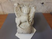 oben Mensch, unten Esel?