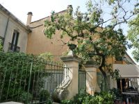 Idylle unter Bäumen