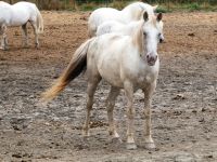 ich bin noch nicht ganz weiss