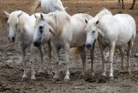 worauf warten wir eigentlich?