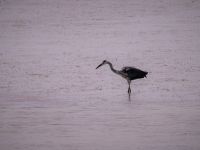 etwas näher betrachtet