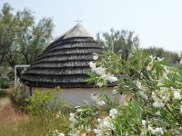 alte Häuser, neu bewohnt