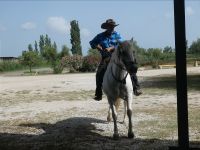 wir werden erwartet auf einer 