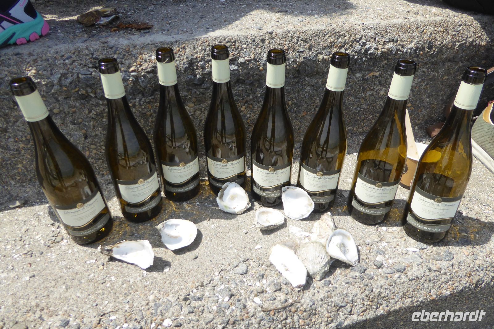 Tag 4 21.06.2022 Cancale, Chardonnay aus dem Val de Loire