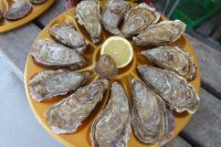 Tag 4 21.06.2022 Cancale, Austernverkostung