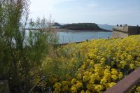 Tag 4 21.06.2022 St. Malò 