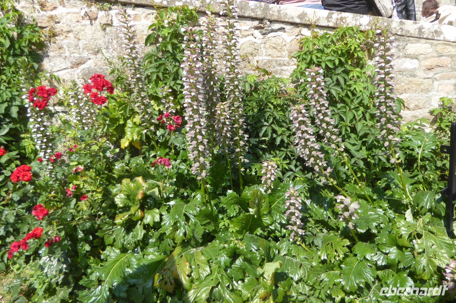 Tag 4 21.06.2022 Mont St. Michel