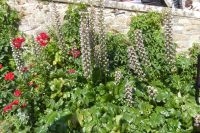 Tag 4 21.06.2022 Mont St. Michel