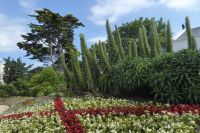 Tag 5 22.06.2022 Insel Jersey, St. Helier, Howard Davis Park