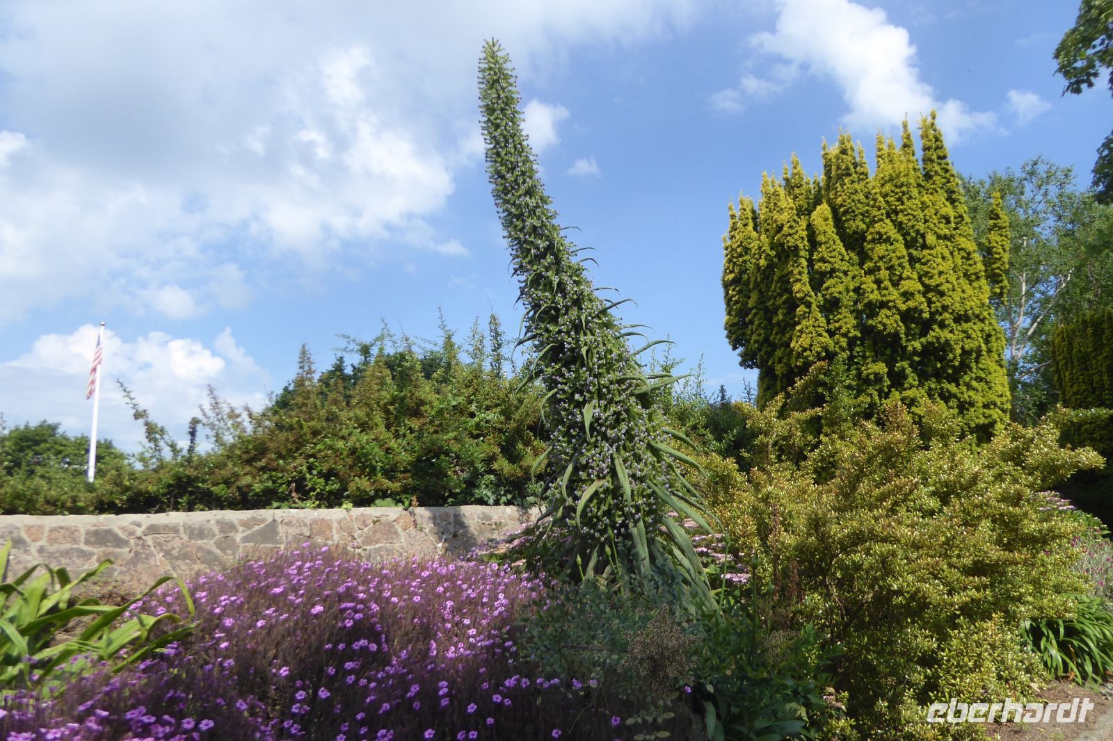 Tag 5 22.06.2022 Insel Jersey, St. Helier 
