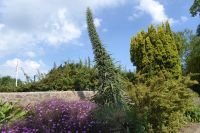 Tag 5 22.06.2022 Insel Jersey, St. Helier 