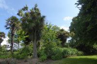 Tag 5 22.06.2022 Insel Jersey, St. Helier, Howard Davis Park 