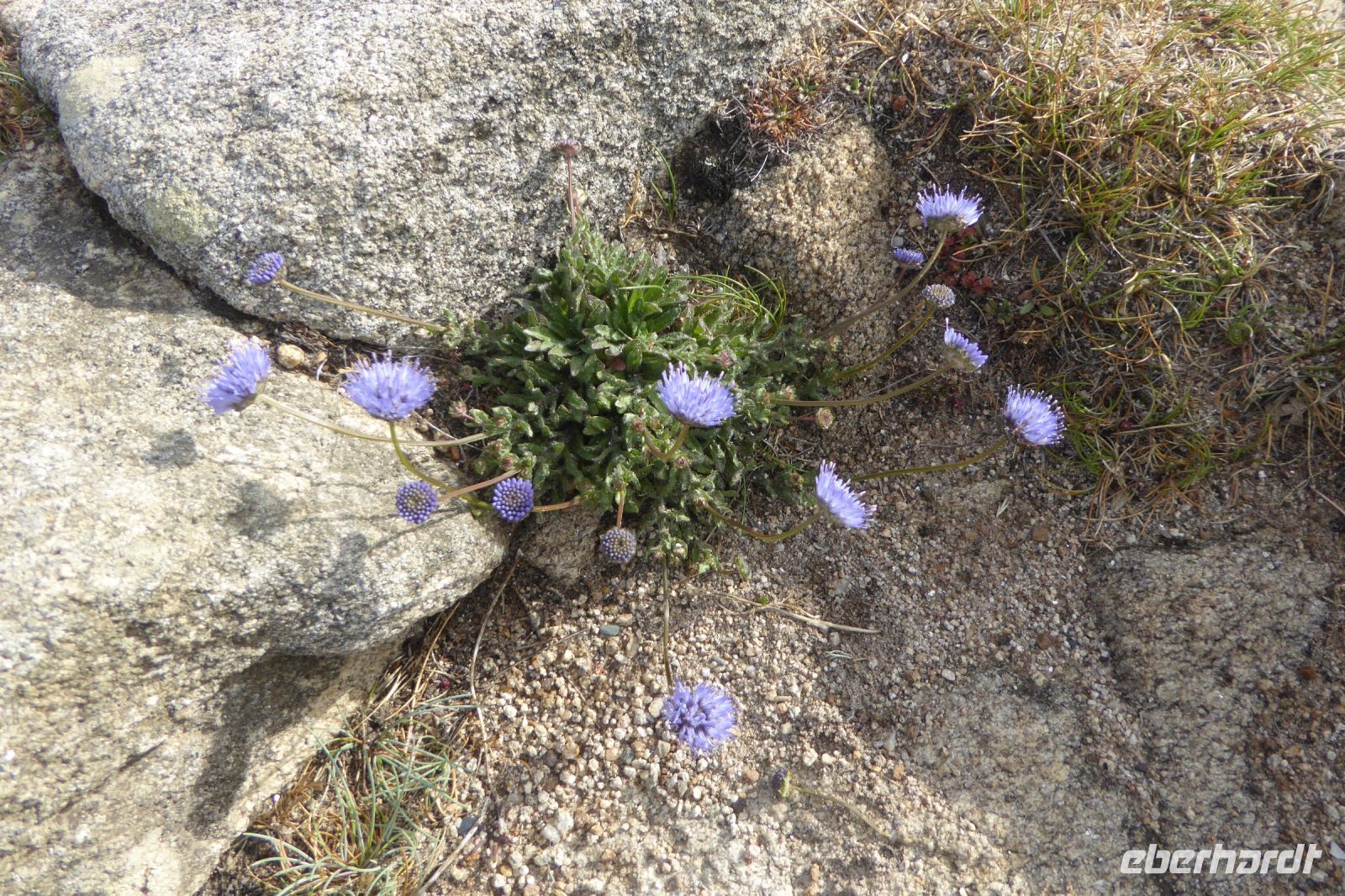Tag 7 2224.06.2022 Pointe du Raz