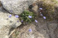 Tag 7 2224.06.2022 Pointe du Raz