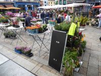 Tag 8 25.06.2022 Rennes, Blumenmarkt