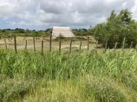Typische Hütte in der Camargue - leider sind nur noch wenige so schön erhalten.