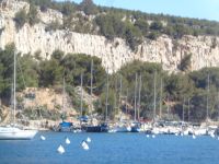 Cassis