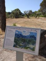 Saint-de-Rémy- de-Provence