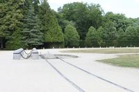 IMG_0890_Lichtung von CompiÃ¨gne