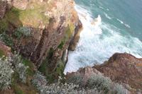 IMG_0994_Cap Fréhel