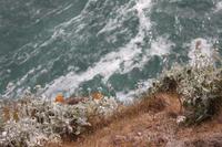 IMG_0998_Cap Fréhel