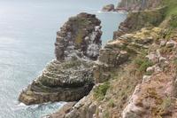 IMG_1001_Cap Fréhel